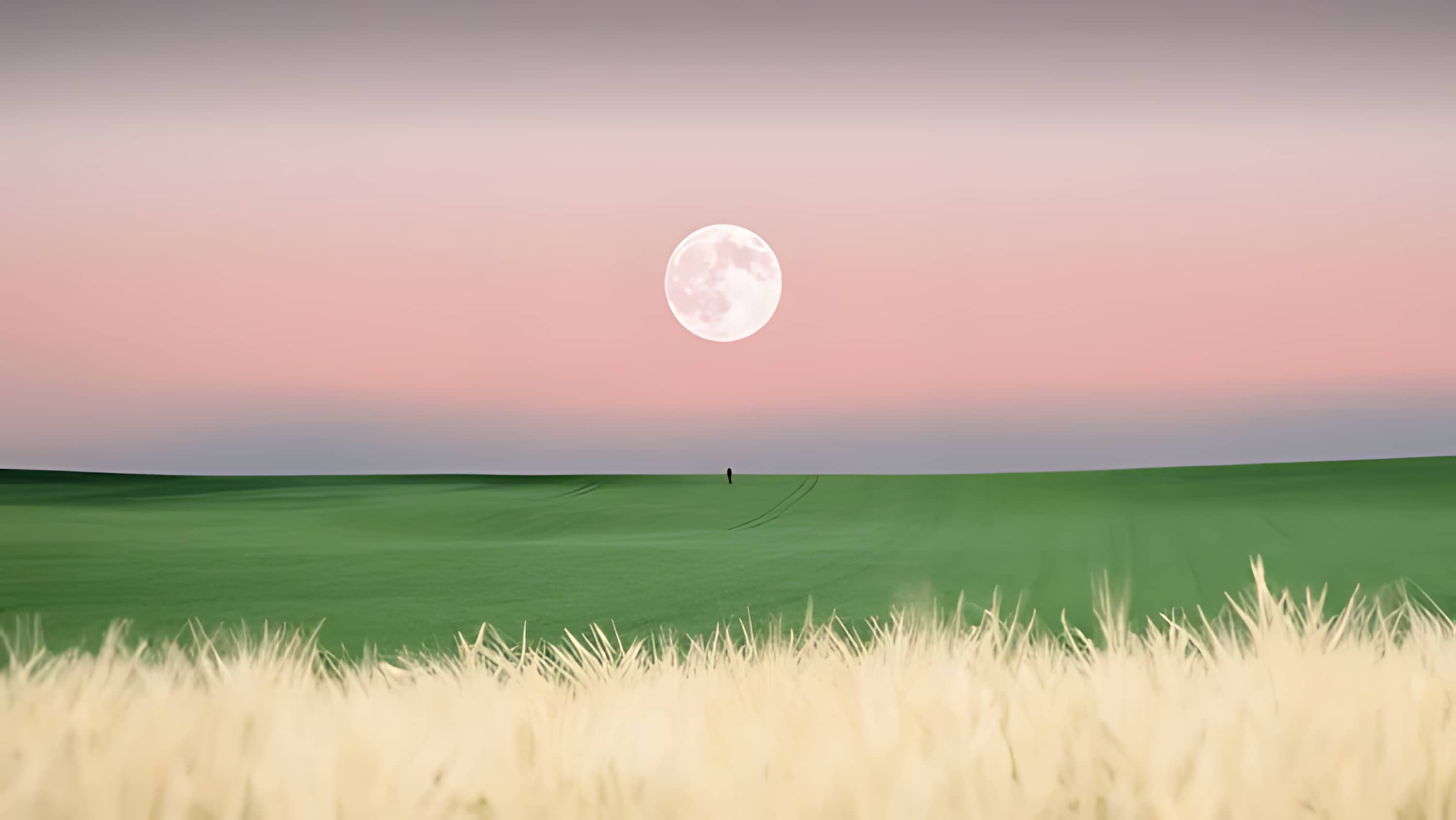 Cover Image of the Post